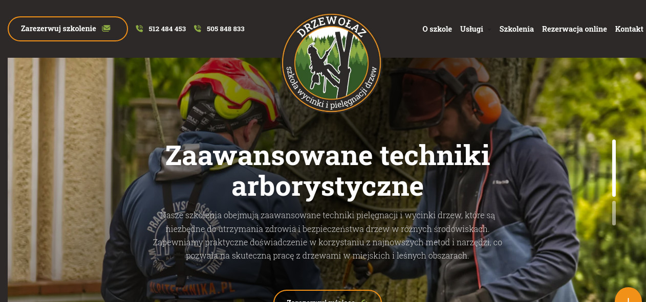 Drzewołaz